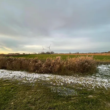 Gulfhof Wangermeer 1 Lotta *
