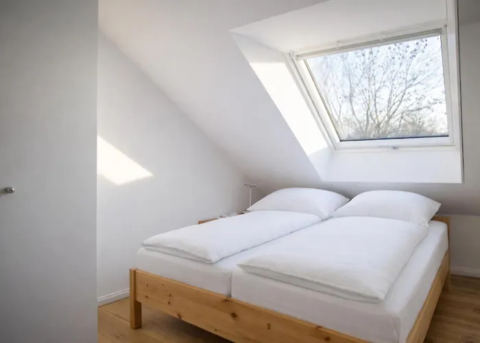 Apartman Gulfhof Wangermeer 1 Lotta Hohenkirchen