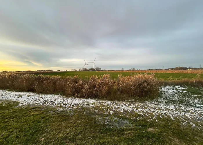 Gulfhof Wangermeer 1 Lotta *